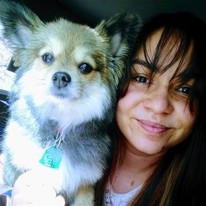 Meet your Posher, Katya